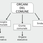 Organi del Comune